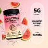 Creatina Monohidratada en Polvo con Electrolitos y Ciclodextrina | Pre