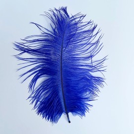 20pcs 6-8 Inches 15-20cm Ostrich Feathers DIY Craft Wedding Party Decoration (Red)