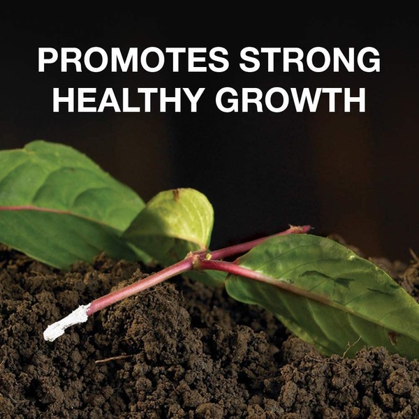 2 x Doff Hormone Rooting Powder 75g - Help New Roots On Cuttings and Promotes Strong Healthy Roots