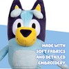 Bingo & Bluey Plush Toys Bundle – Exclusive 2-Pack Soft
