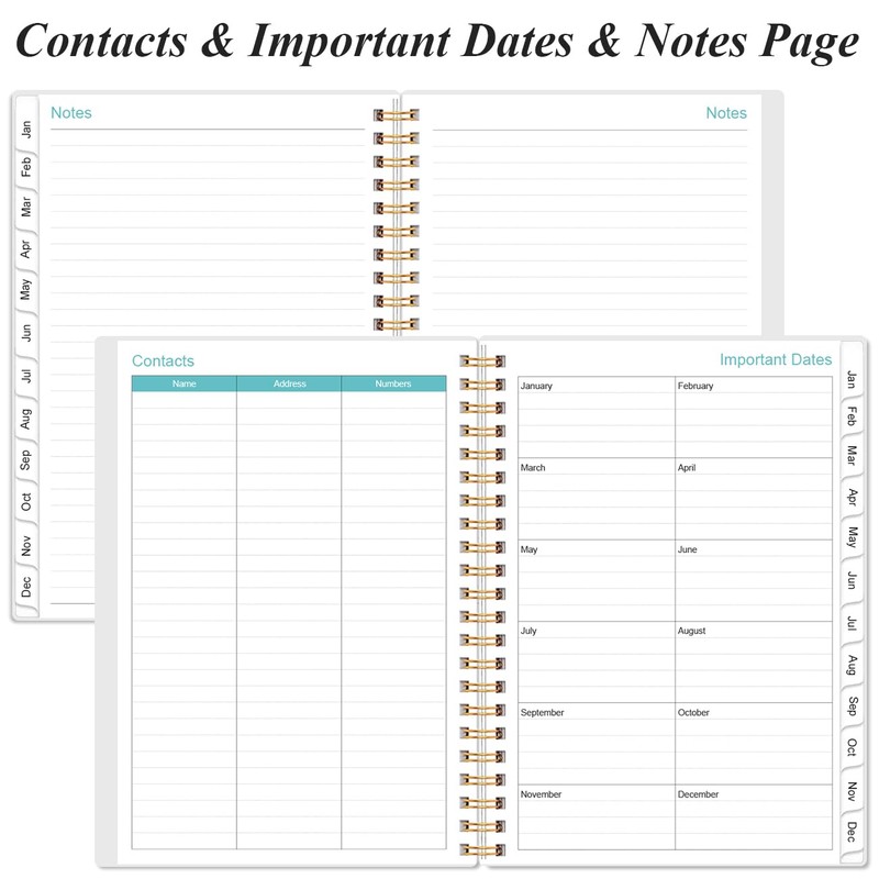 2026 Appointment Book & Planner - Hourly Planner from January