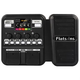 Multi-Effects Processor for Electric Guitar