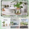 Baderke 2 Packs Propagation Vases for Plants Plastic Plant Propagation