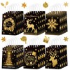 Kolldenn 24 Pcs Christmas Party Favors Bags Black and Gold