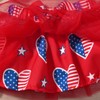 Aalizzwell 0-3 Months Baby Girls 4th of July Outfit Infant