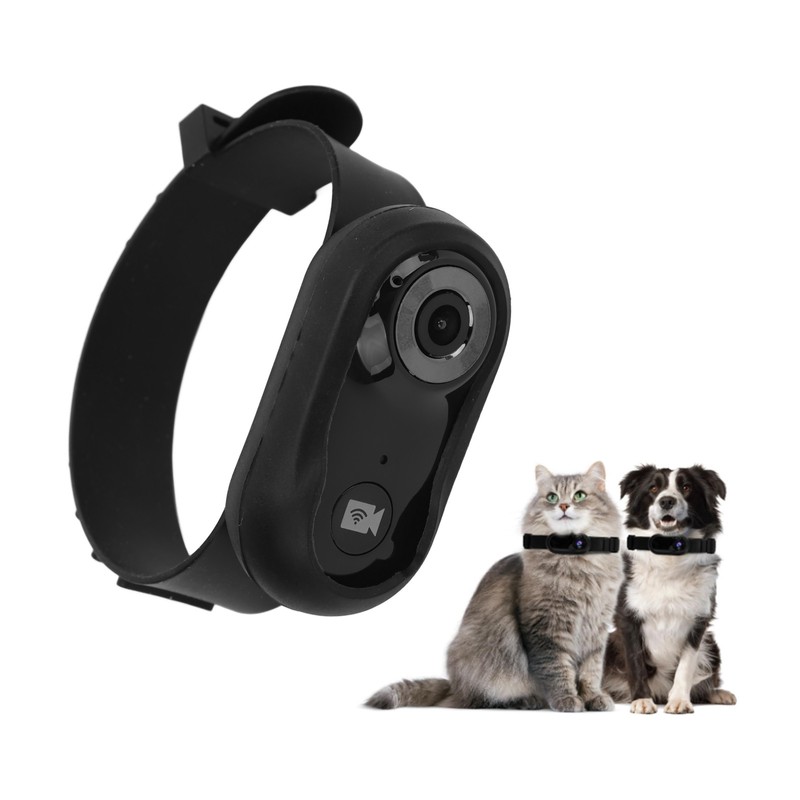 Pet Collar Camera with 8G Memory Card HD 1080P Mini
