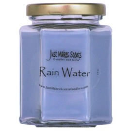 Rain Water Scented Blended Soy Candle | Clean Fresh Fragrance | Hand Poured in The USA by Just Makes Scents Candles & Gifts