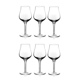 North Mountain Supply Crestmont Beer Glasses - for Strong/Dark Ales and Belgian IPAs Drinking - 16 Ounces - Set of 6