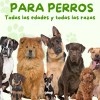 Suplemento Alimenticio Perro Probióticos Enzimas Digestivas