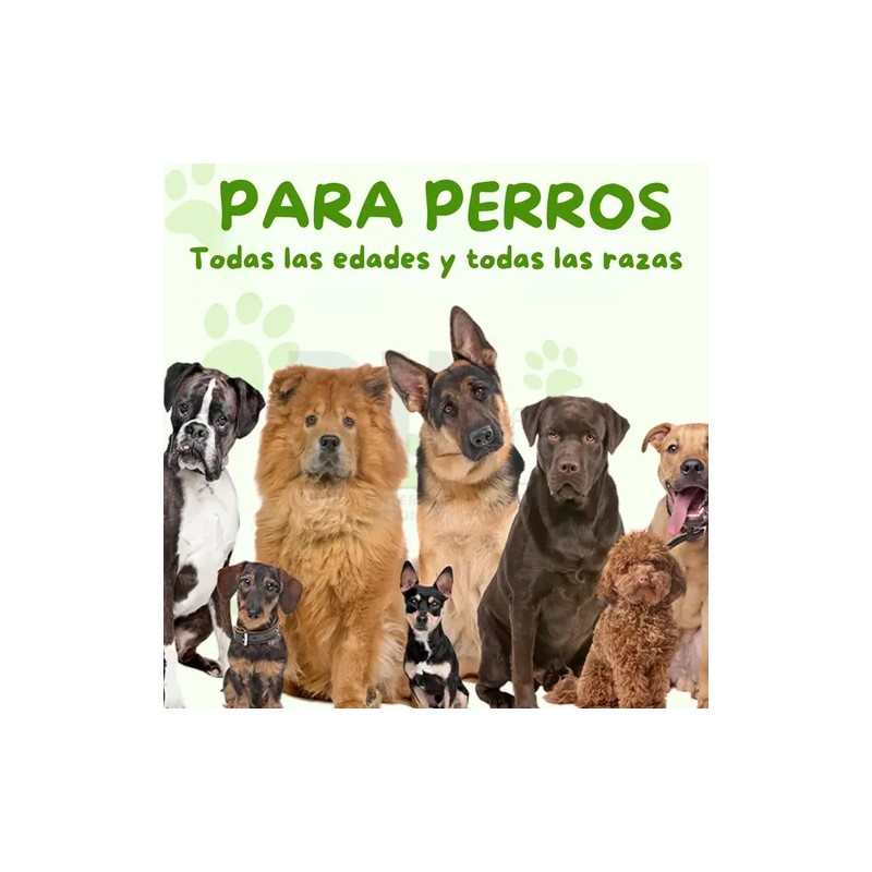 Suplemento Alimenticio Perro Probióticos Enzimas Digestivas