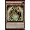 Ringowurm, The Dragon Guarding The Hundred Apples - MP24-EN080 -