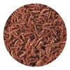 Hikari Bio-Pure Freeze Dried Blood Worms for Pets, 0.42-Ounce