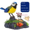 Singing Chirping Bird Electronic Talking Repeating Parrot Electric Animal Toy