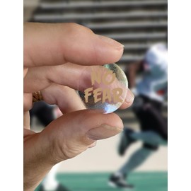 Pro-Tuff Decals No Fear Award Decals Thick mil Vinyl 1-1/8" Diameter (100 Decals) (Vegas Gold on Clear)