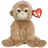 TY Beanie Baby Missy - Monkey