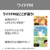 Toshiba Radio TY-SR66(K) FM AM LED Light, Stereo Backlight, Earphone
