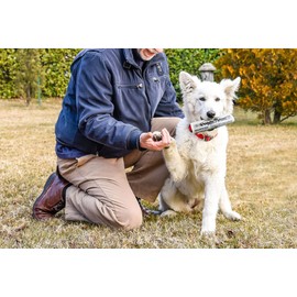 GabeFish 2PCS Funny Dog Chew Toys, Newspaper Dog Toy, 6.2 x 2.1-in (16 x 6.5 cm), Durable Squeak Toy for Dogs