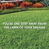 Bethel Farms St. Augustine 3in Natural Grass Plugs 36-Pack