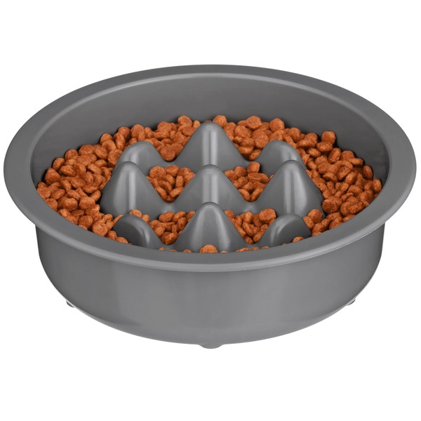 The Niner Slow Feed Bowl - Raised Peaks Slow Down