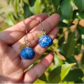 Gracayfr Blueberry Fruit Earring Dangle Food Fish Hook Earrings Silver Plated Resin Dangle Drop Earrings Cute Summer Earrings Hypoallergenic Fashion Pendant For Women