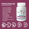 Kit 2 Multiminerales 100 Cápsulas De 500 Mg Rinde 100