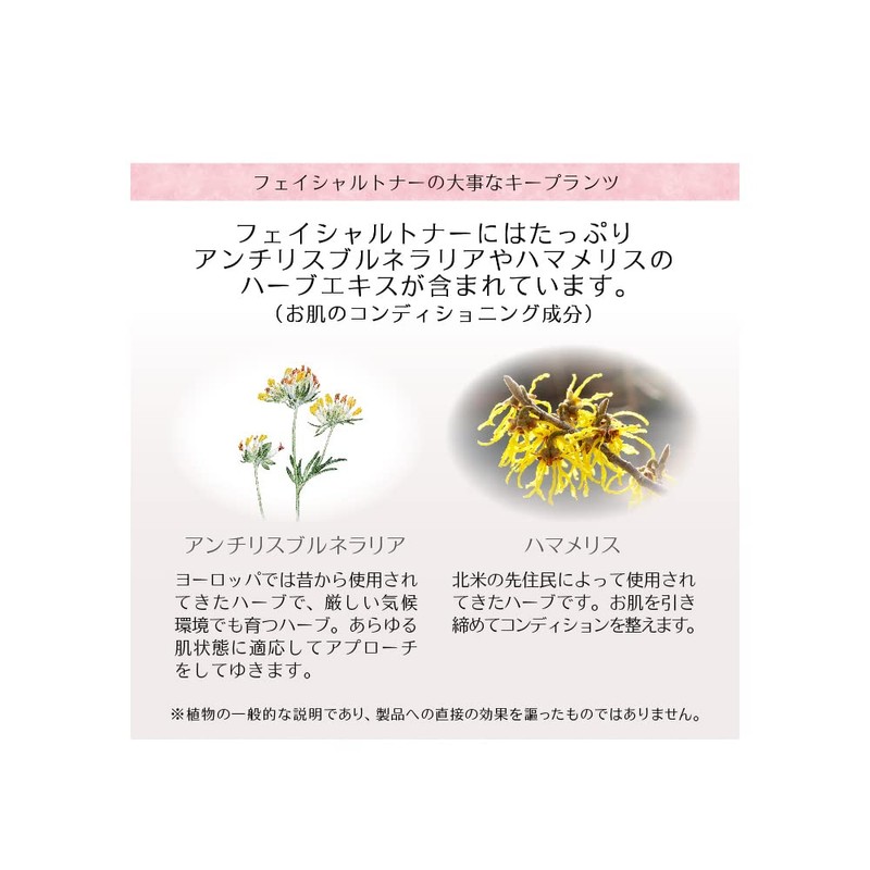 Dr. Hauschka Gesichtstonikum unisex, aktivierendes Gesichtswasser, 100 ml, 1er Pack