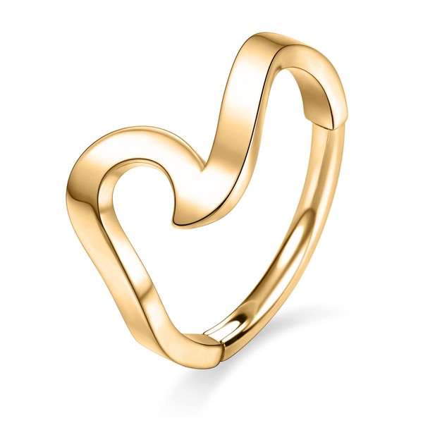hengkaixuan 16G Conch Cartilage Earring Creole Heart CZ Daith Helix