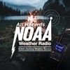 BAOFENG 5RM 10W Long Range Ham Radio with TIDRADIO Portable