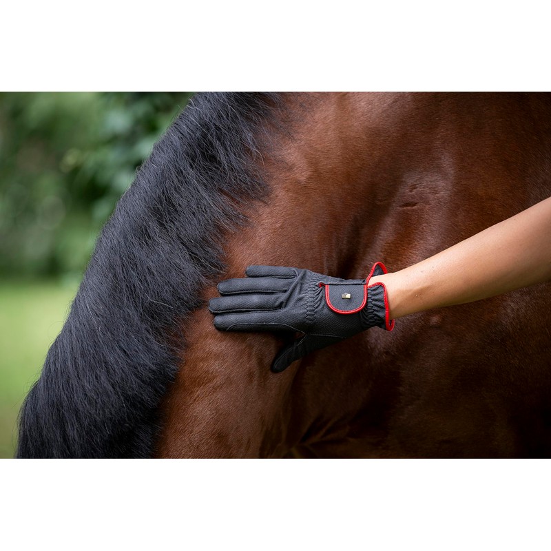 Roeckl LONA Navy and Silver ladies glove