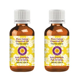 Deve Herbes Pure Catnip Essential Oil (Nepeta cataria) Steam Distilled (Pack of Two) 100ml X 2 (6.76 oz)