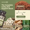 Samara 888 Leaky Gut Repair Supplement & Candida Support with