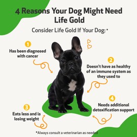 Pet Wellbeing - Life Gold - Dog Health Support - Natural, Herbal Supplement That Helps Maintain The Health of Your Canine - 2 oz (59 ml)