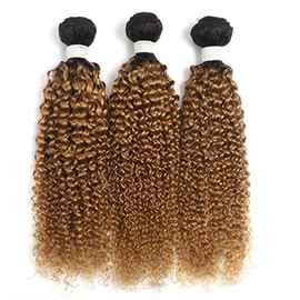 #1B27 Honey Blonde Bundles Ombre Kinky Curly Bundles 22 24 26 Inch Kinky Curly Hair Extensions For Black Women Double Weft Wet And Wavy 8A Grade Unprocessed Virgin Hair