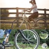 260mm Bicycle Spoke 38pcs Mountain Bike Spoke with Spoke Nipple