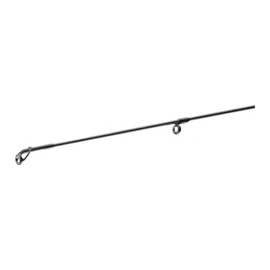 DAIWA Fuego Predator Spin, 2.40 m, 30-70 g, 2 Pieces, Fast, Predator Fishing Rod, 11124-242