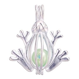 Vie jeune 10pcs Pearl Cage Bright Silver Beads Cage Locket Pendant Jewelry Making-For Oyster Pearls, Essential Oil Diffuser, Fun Gifts (Frog)