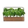 edn SmallGarden Basil SeedPods - 10 Pack