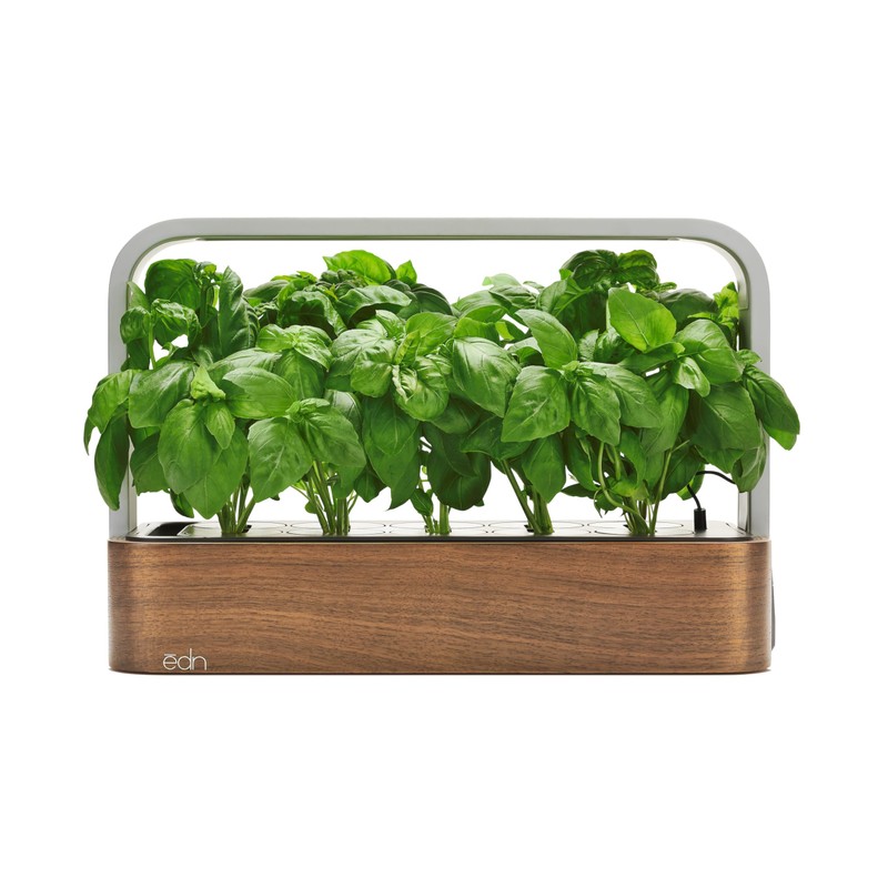 edn SmallGarden Basil SeedPods - 10 Pack