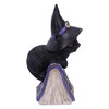 Nemesis Now Pocus Small Witches Familiar Black Cat and Spellbook