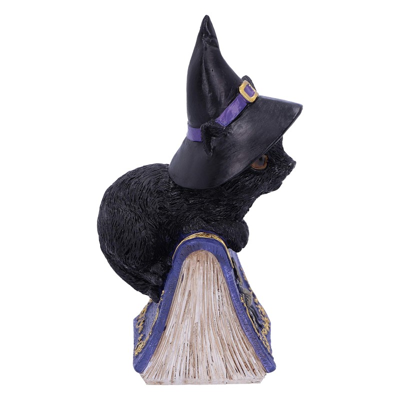Nemesis Now Pocus Small Witches Familiar Black Cat and Spellbook