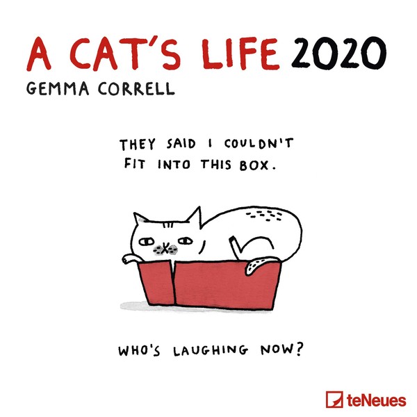A Cat's life 2020 Broschürenkalender