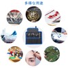 DFsucces Tweezers, Precision Tweezers, Ultra Fine Tweezers, Anti-corrosion, Stainless Steel,