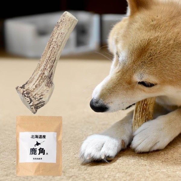 Deer Antler Dog, Yezo Deer, Hokkaido, Large Size (For Extra