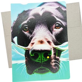 Underwater Funny Black Lab Greeting Card (5X7 Inch and Blank Inside) Black Labrador Retriever Birthday Card of for Thank You or Thinking of You - 300
