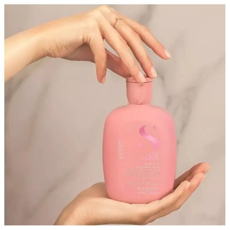 Shampoo Moisture Nutritivo Alfaparf 250ml