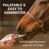 VetSet RechargeR Horse Electrolyte Paste 2 x 30ml Syringes