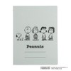 Nakabayashi Peanuts Flat File J A4S 3 Patterns (P+V+N) 3