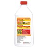 Spectracide HG-56009-1 Weed & Grass Weed and Grass Killer Concentrate
