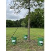 Tree I-V 3-pk Fill & Haul Root Feeder Watering System