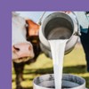 Milka & Oreo 5 x 37 g